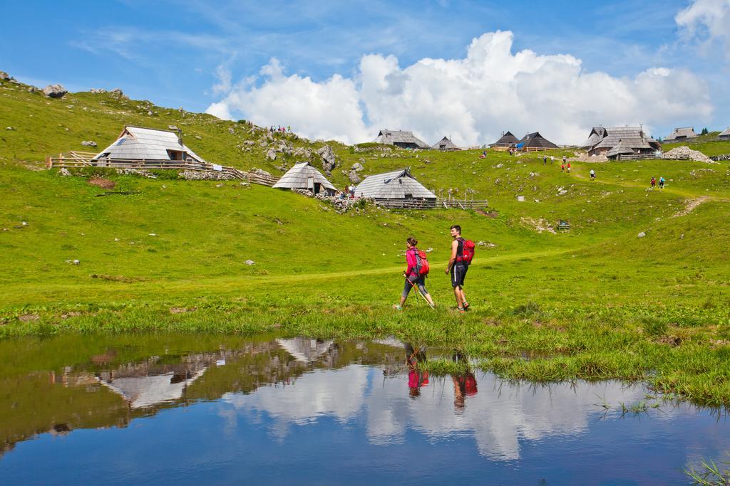 Chalet Zlatica Velika Planina